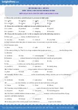 Đề thi học kì 2 Tiếng Anh 10 English Discovery - Đề số 2
